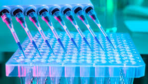 Image result for dna profiling