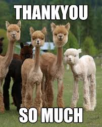 Thank You
