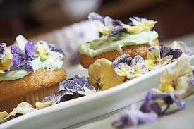 Image result for gourmet food presentation