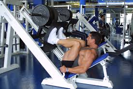 Image result for leg press