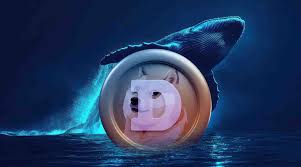 دوج‌کوین در آستانه جهش قیمتی؟ نهنگ‌ها ۴.۷ میلیارد DOGE انباشت کردند!