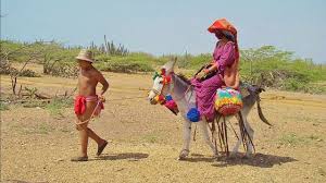 Image result for wayuu