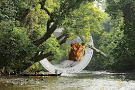 Image result for taman negara national park