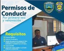 Imagen de Examen médico y psicológico para renovar la licencia de conducción