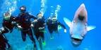 Sea Sports Scuba - Scuba Diving Gear and Scuba Diving Lessons