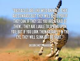 Wild Animal Quotes. QuotesGram via Relatably.com