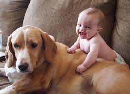 Resultado de imagem para bEBES BONITOS