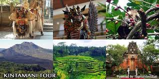 Hasil gambar untuk full day tour ubud kintamani