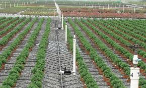 fertigation systems ile ilgili görsel sonucu