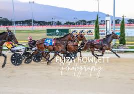 News source: Harnesslink