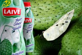 Resultado de imagen para usos de la guanabana