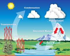 Hydrological cycle