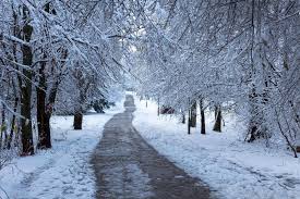 News source: Daily Hive Vancouver