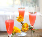 Vodka blush drink recipe - Frugal Village