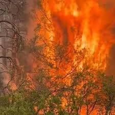 Colorado Springs Gazette - News update