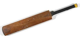 Image result for cricket bat