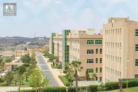 صحيفة عاجل - News update