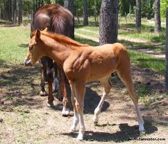 ����� ������� �� ��� ���� ���� ���� ��� ��� ������ ���� �� ��� �����