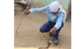 Snake Rescuer Santosh Chand Dies After Cobra Bite During Stunt in Bolangir