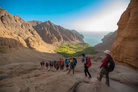 The Musandam Hiking Team: A Path to Health, Adventure, and Sustainable Tourism in Oman