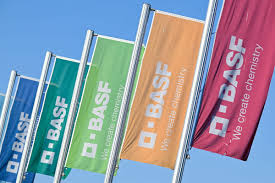 Basf News : ce qu'il faut savoir — image 4