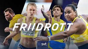 SVT Nyheter - News update