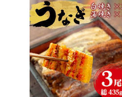 静岡のうなぎ：うな重、蒲焼き、白焼きの画像