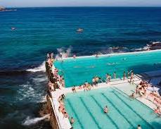 people swimming in the Bondi Icebergs pool