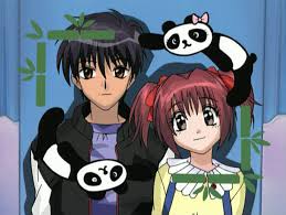 Résultat de recherche d'images pour "tokyo mew mew shirogane"