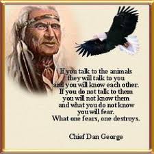 Native American Indian Wisdom on Pinterest | Native American ... via Relatably.com