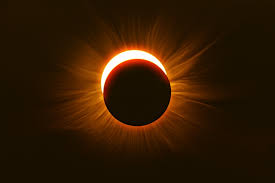 National Geographic Polska - News update