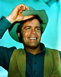 Image result for doug mcclure