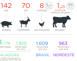 Imagem de Produção pecuária