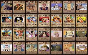 Image result for one piece