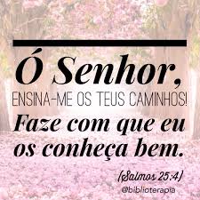 images?q=tbn:ANd9GcTpIbO2_iFfMwLwrqZVed5