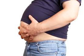 Image result for full belly