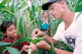 Image result for america peace corps