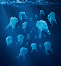 Image result for PLASTIC WASTE IN OCEANS