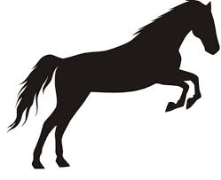 Image result for HORSE