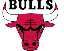 Image of Chicago Bulls logo