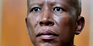 Julius Malema Firearm Case: EFF Leader Back in Court! What Happened?