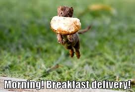 external image images?q=tbn:ANd9GcTpboO86DulhGsMTdp-qQSbsoPP1wFXdc9j8wXKZOewkhXl1Yhuyw