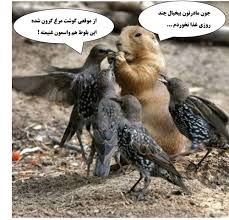 Image result for ‫طنز‬‎