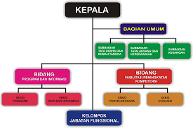 Cara Membuat Bagan Struktur Organisasi