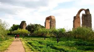 Trend Google: viterbo