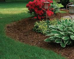 Gambar Wood chips as mulch in landscaping