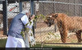 Image result for chhattisgarh images