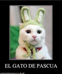 Bildresultat för PASCUA