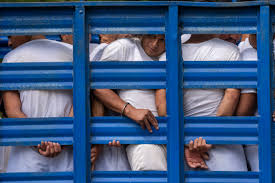 Uncovering the Hidden Reality: Tuberculosis Remains Undetected in Prisons Almost Half the Time, Reveals Startling Data - 1