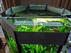 LED Aquarium Beleuchtung